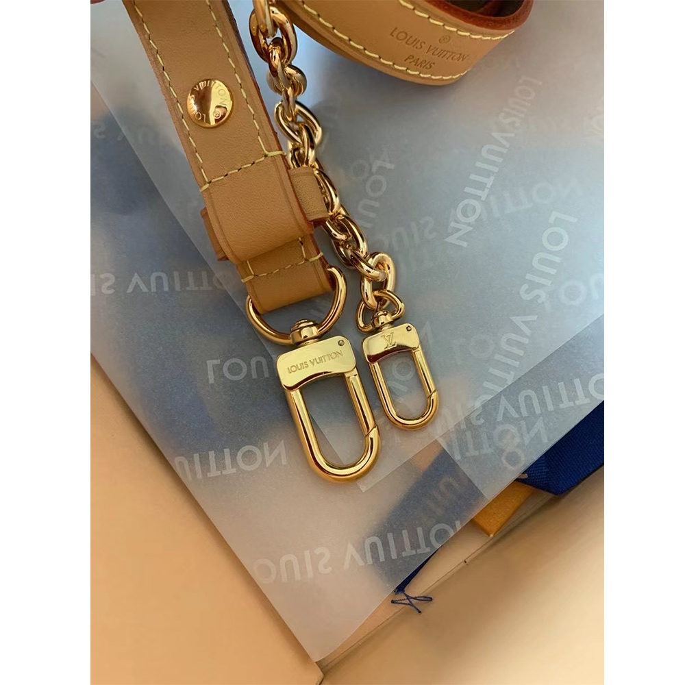 Louis Vuitton Monogram Coated Canvas Loop  Handbag - EUR FASHION