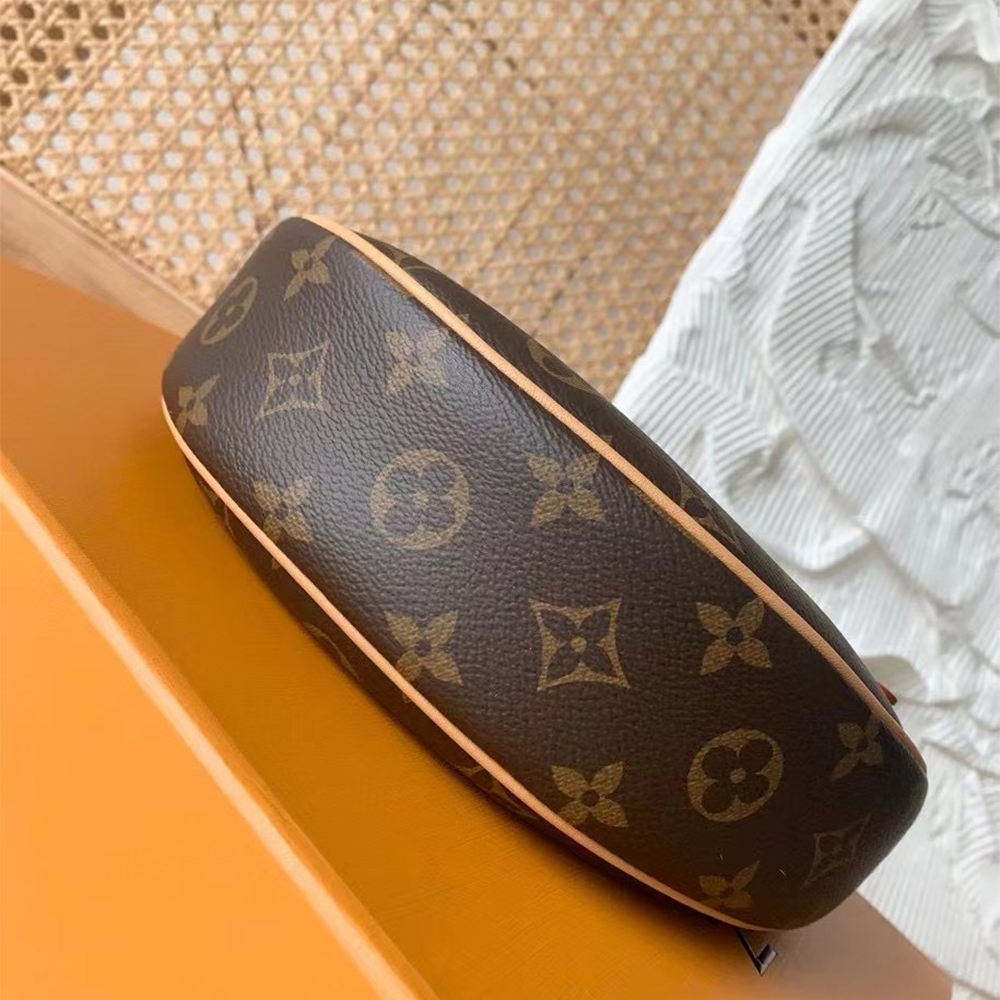 Louis Vuitton Monogram Coated Canvas Loop  Handbag - EUR FASHION