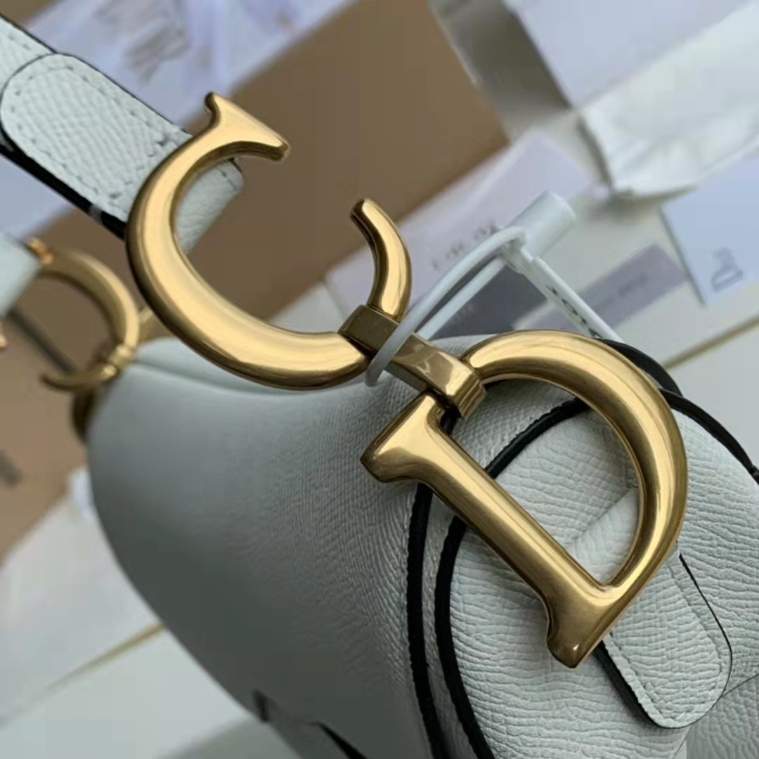 Dior Saddle Bag - EUR FASHION
