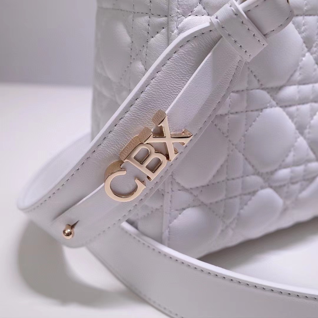 Dior Lady Bag  Cannage Calfskin（20-16.5-8CM） - EUR FASHION