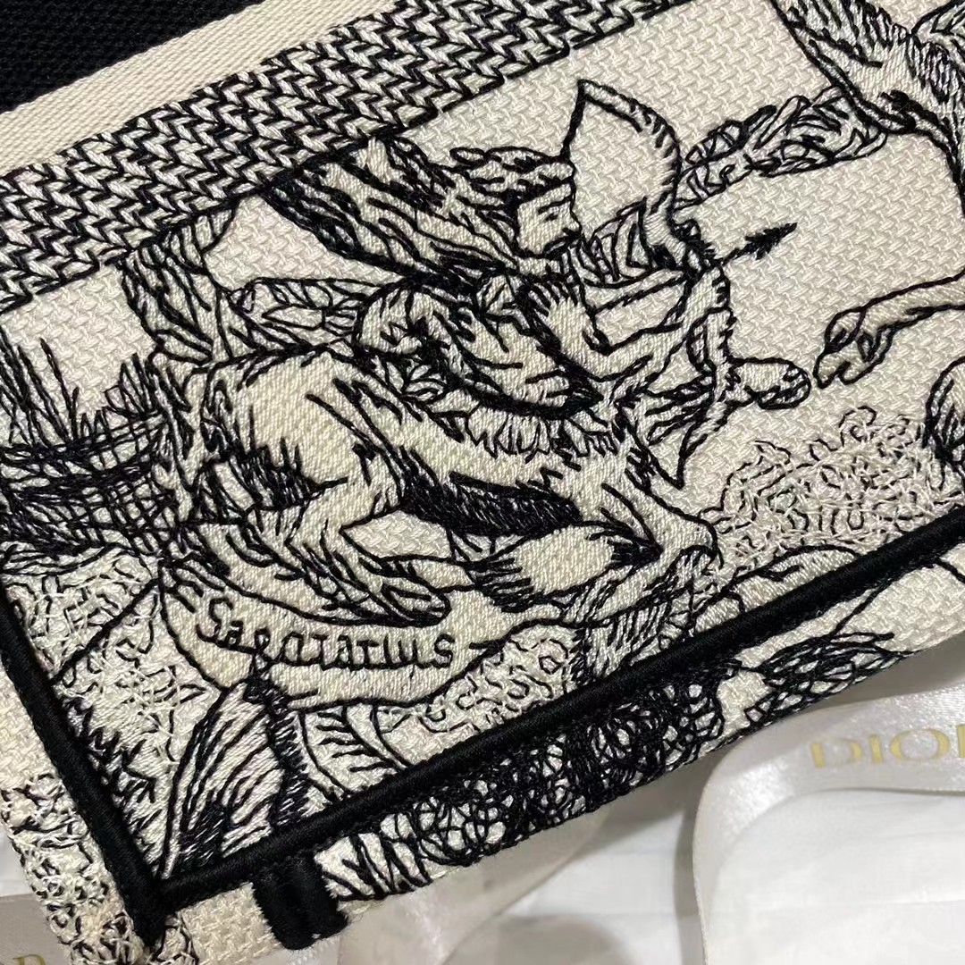 Dior Oblique Embroidered Book Tote - EUR FASHION