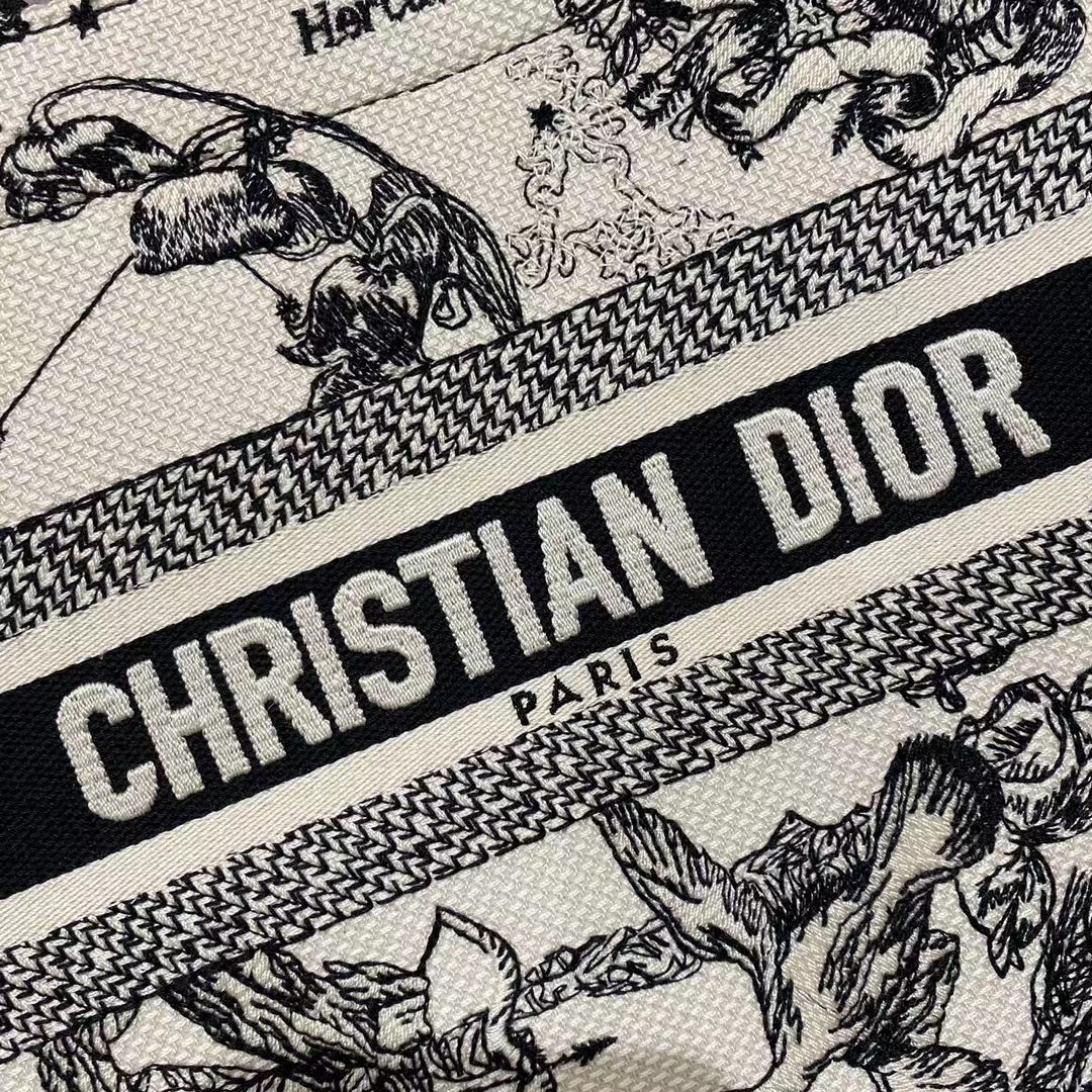 Dior Oblique Embroidered Book Tote - EUR FASHION