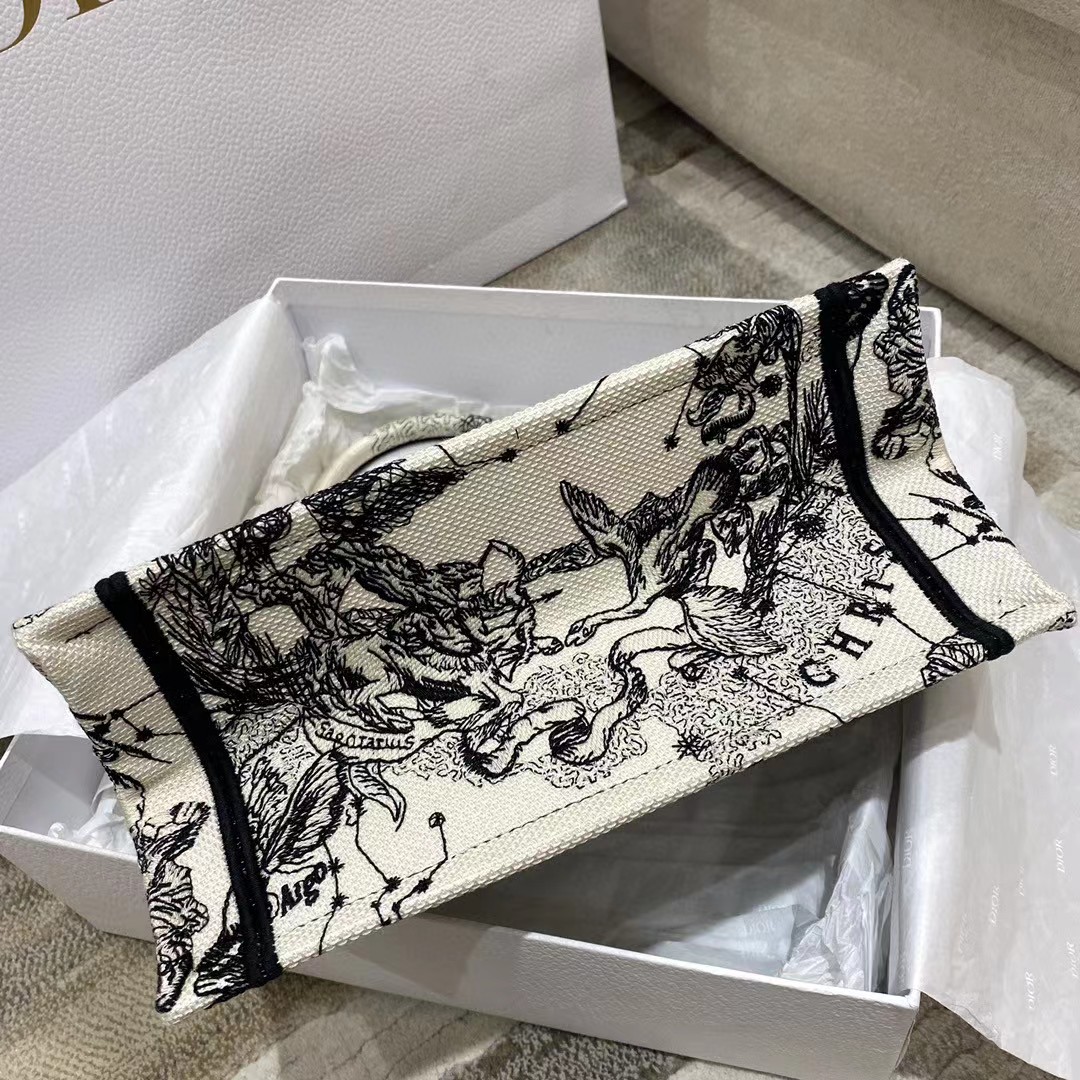 Dior Oblique Embroidered Book Tote - EUR FASHION