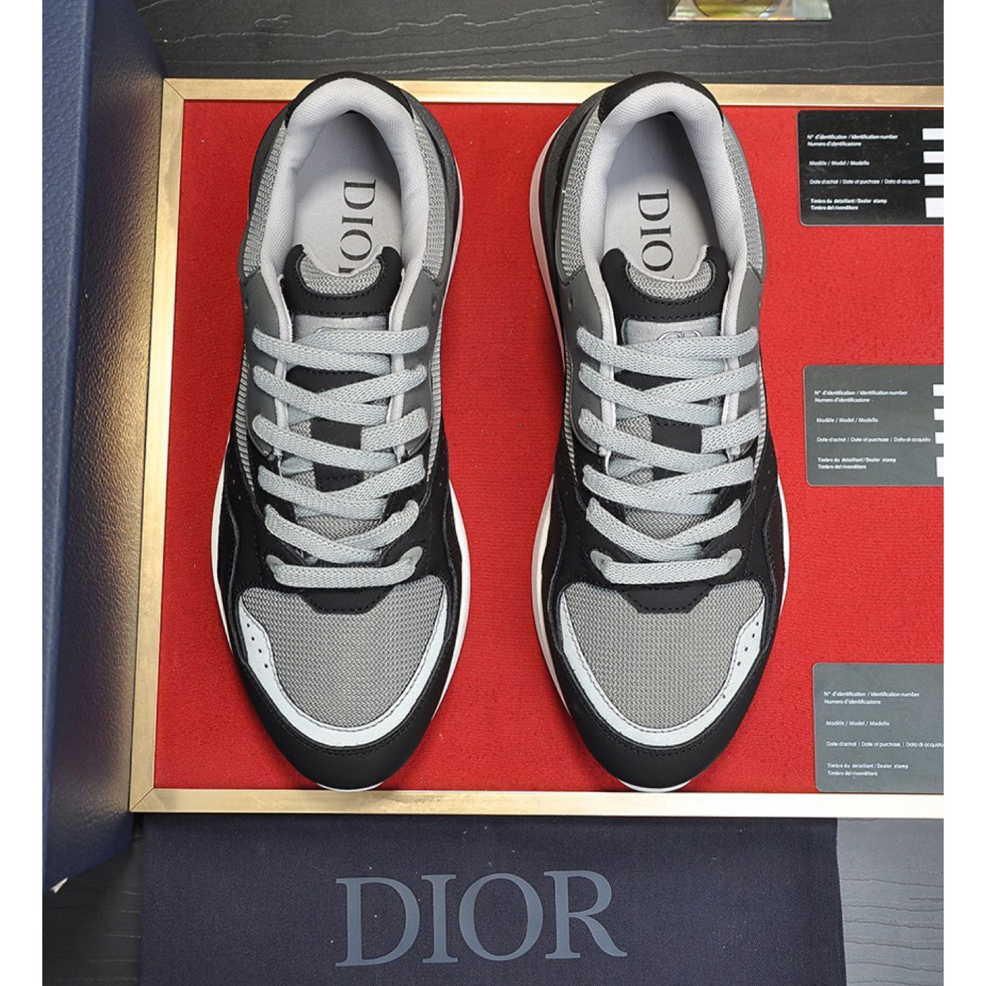 Dior B29 Low-Top Sneaker - EUR FASHION