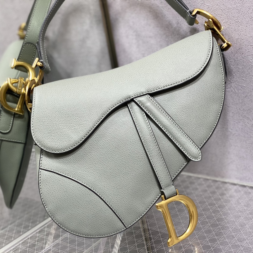 Dior Saddle Bag(25.5-20-6.5cm) - EUR FASHION