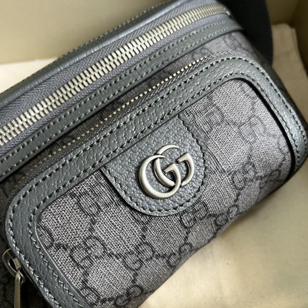 Gucci Ophidia Belt Bag(23-12-2.5cm) - EUR FASHION