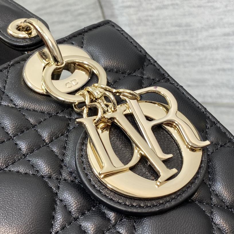 Dior Lady Bag    20cm - EUR FASHION