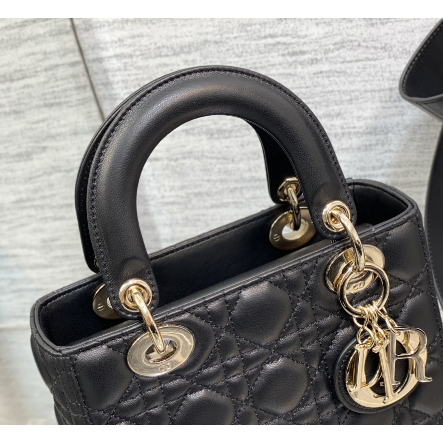 Dior Lady Bag    20cm - EUR FASHION