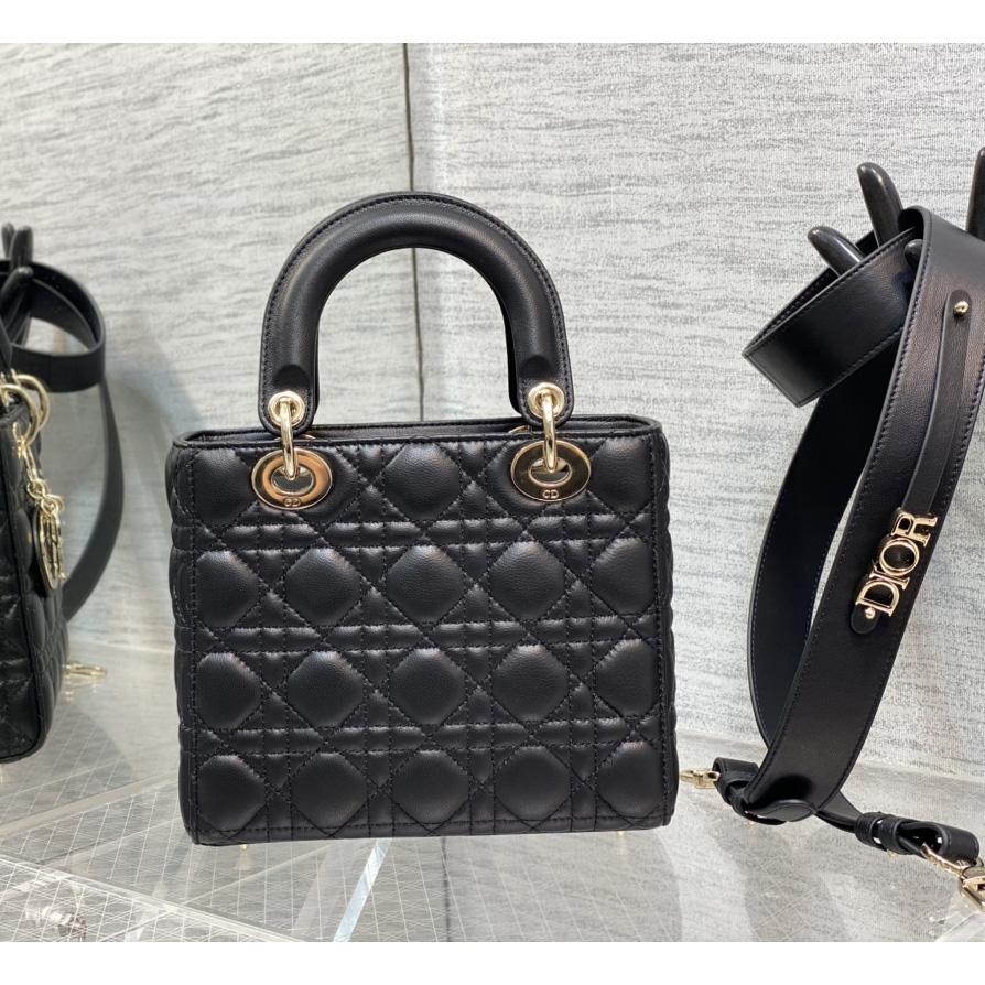 Dior Lady Bag    20cm - EUR FASHION