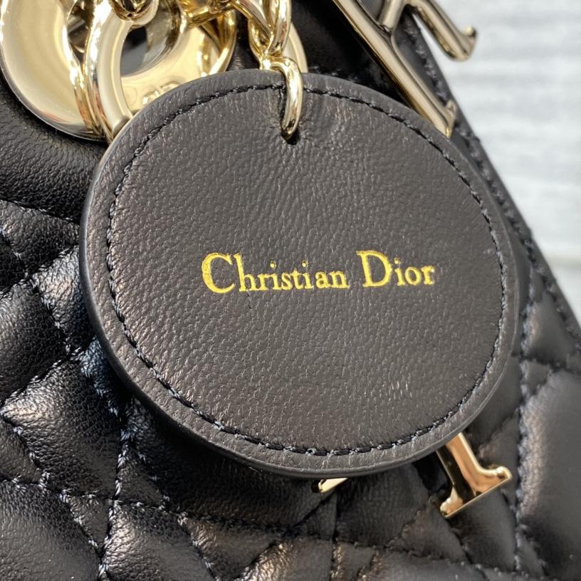 Dior Lady Bag    20cm - EUR FASHION