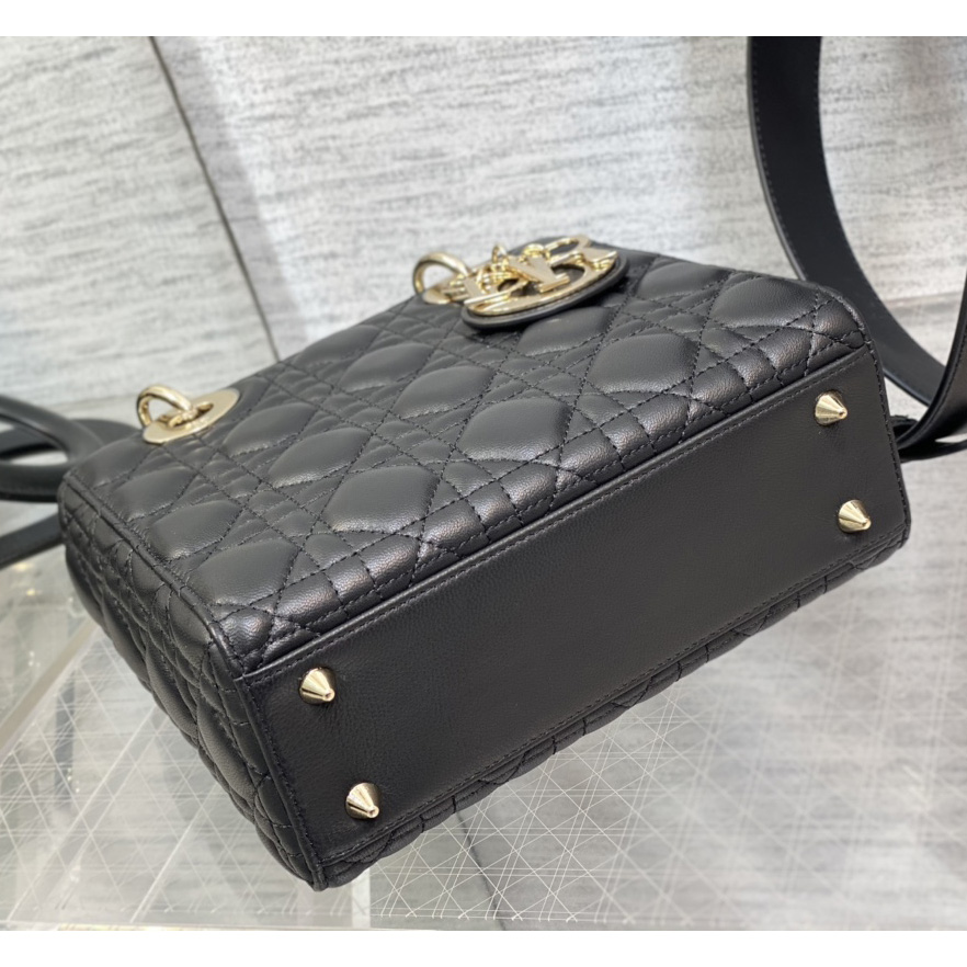 Dior Lady Bag    20cm - EUR FASHION