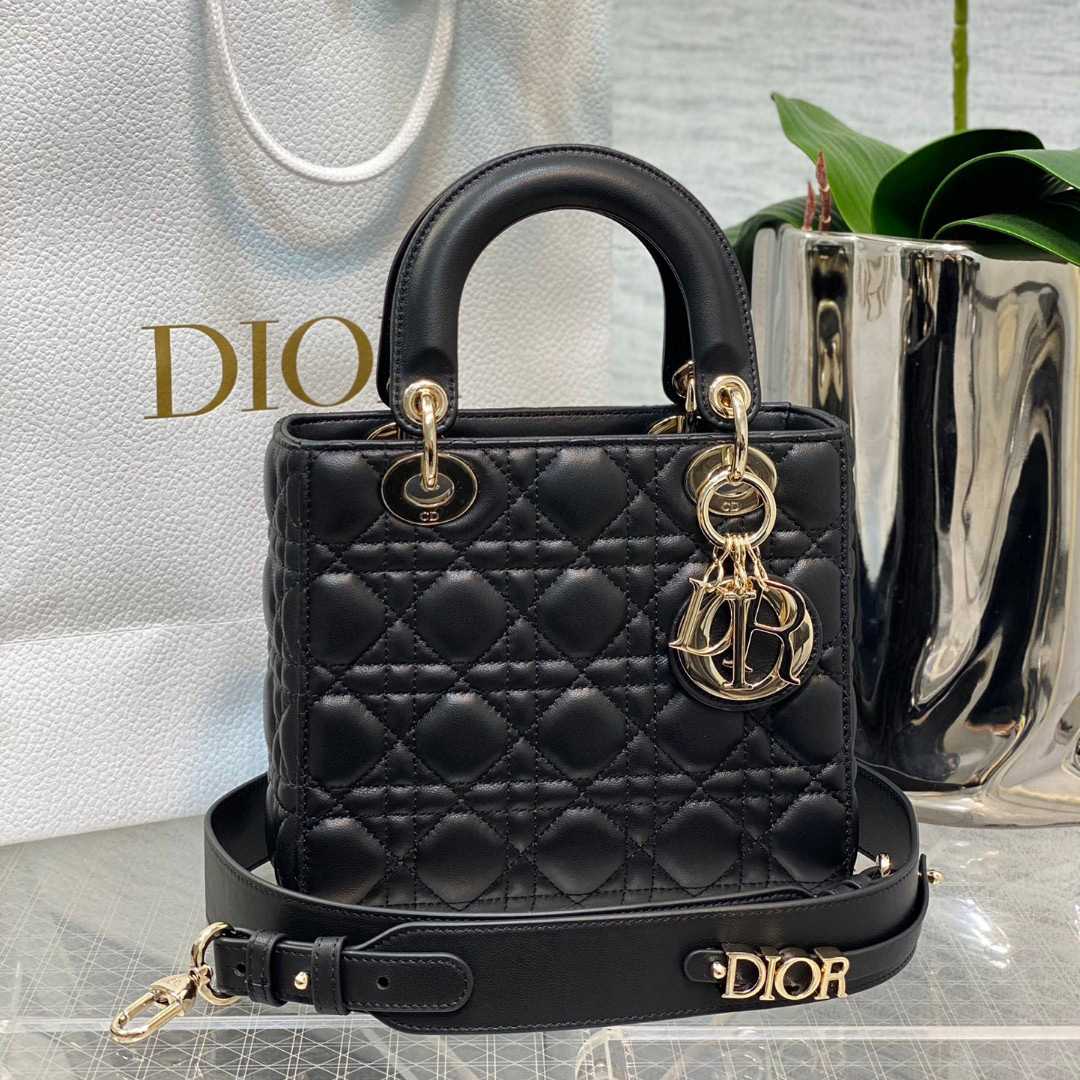 Dior Lady Bag    20cm - EUR FASHION