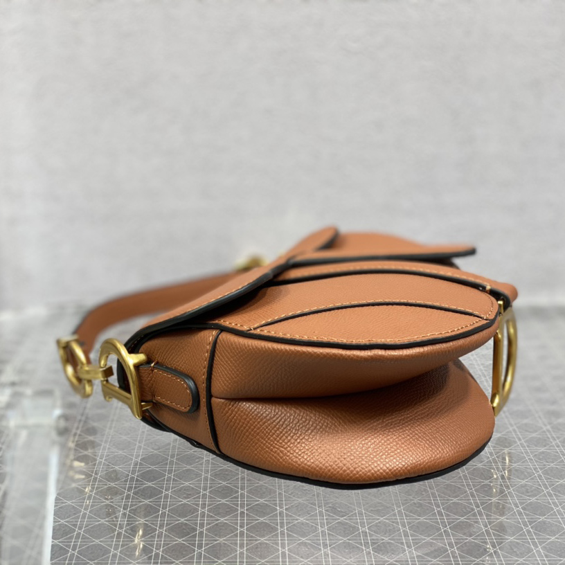Dior Saddle Bag(19.5cm) - EUR FASHION