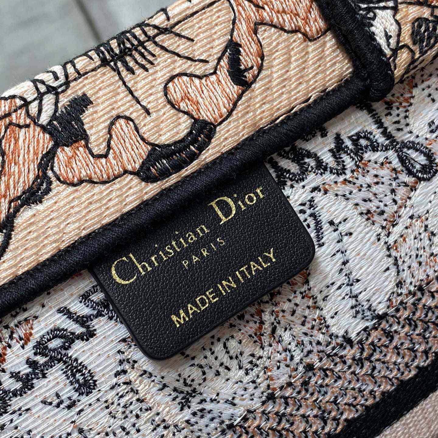 Dior Small Dior Book Tote - EUR FASHION