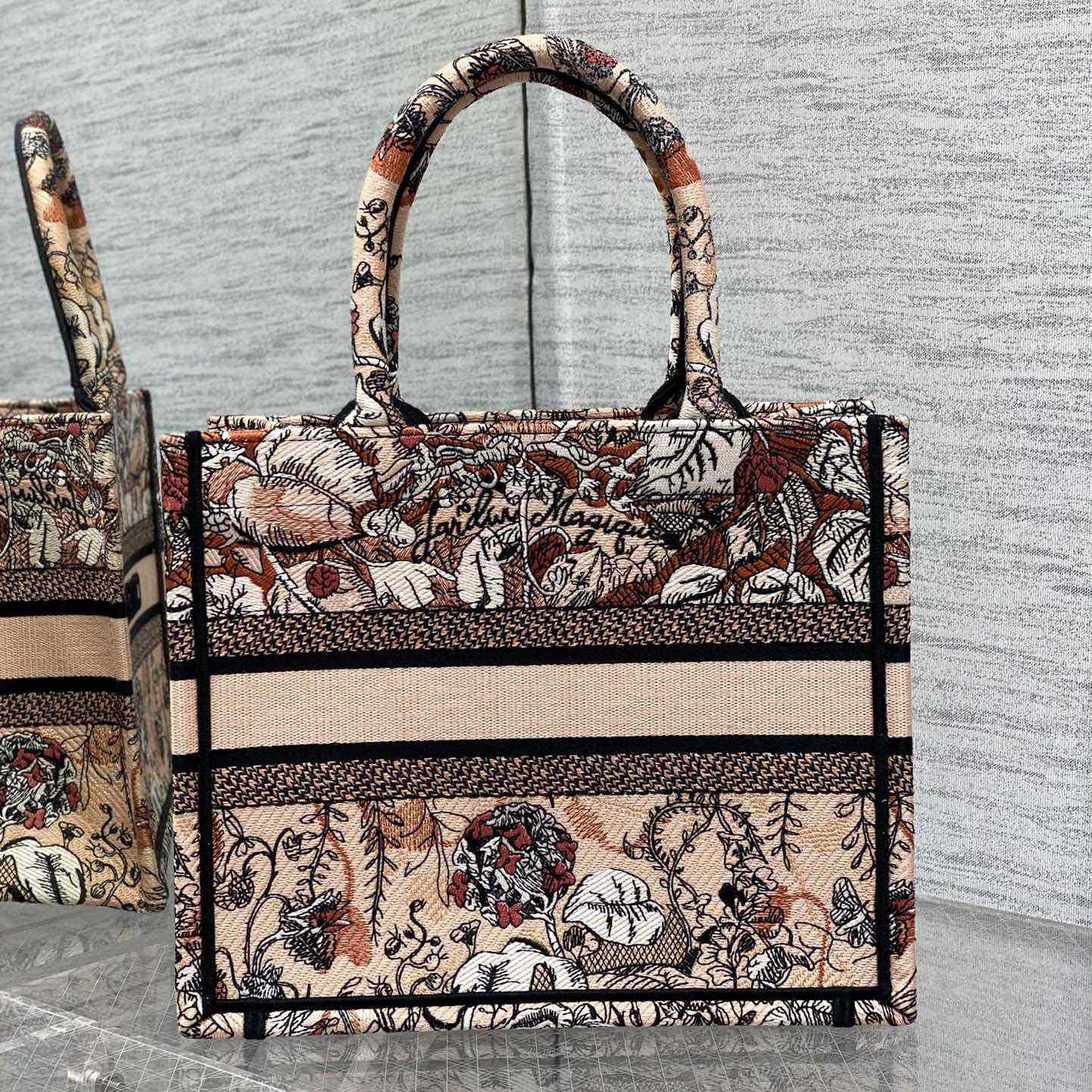 Dior Small Dior Book Tote - EUR FASHION