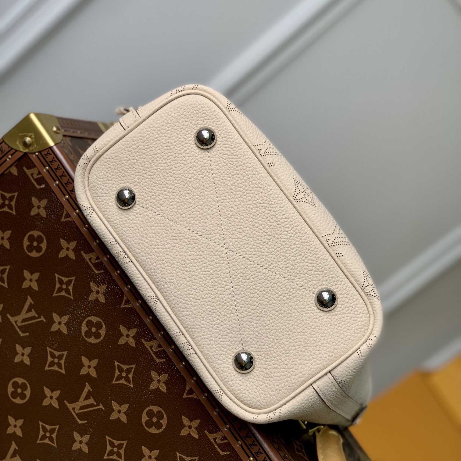 Louis Vuitton Blossom PM   M21909 - EUR FASHION