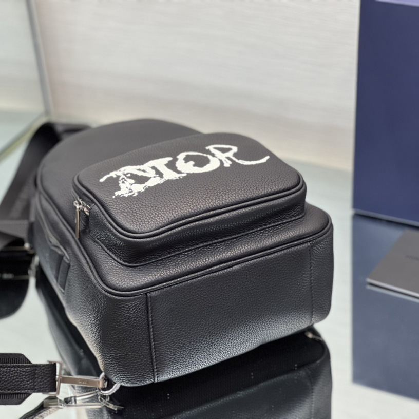 Dior x Peter Doig Sling Bag - EUR FASHION