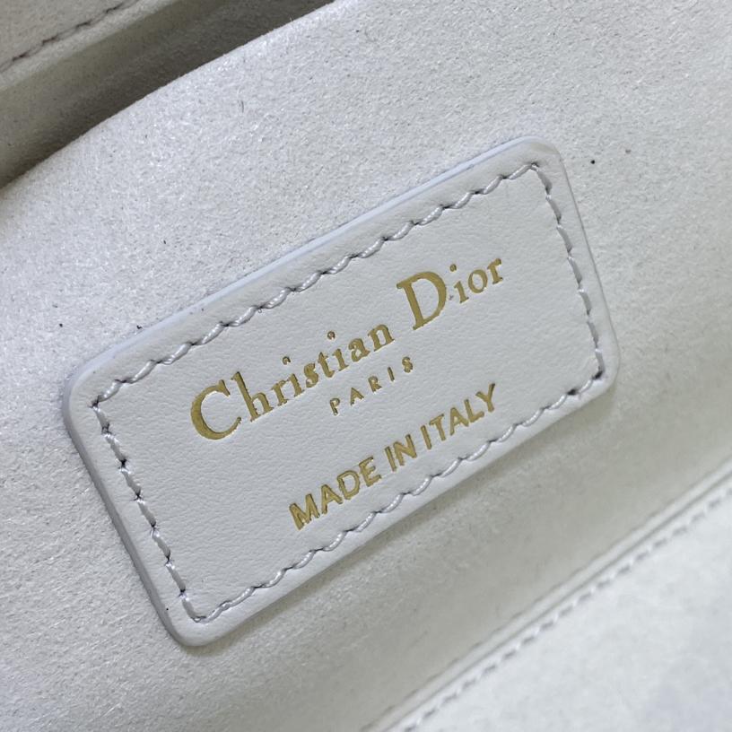 Dior Medium Lady D-Joy Bag - EUR FASHION