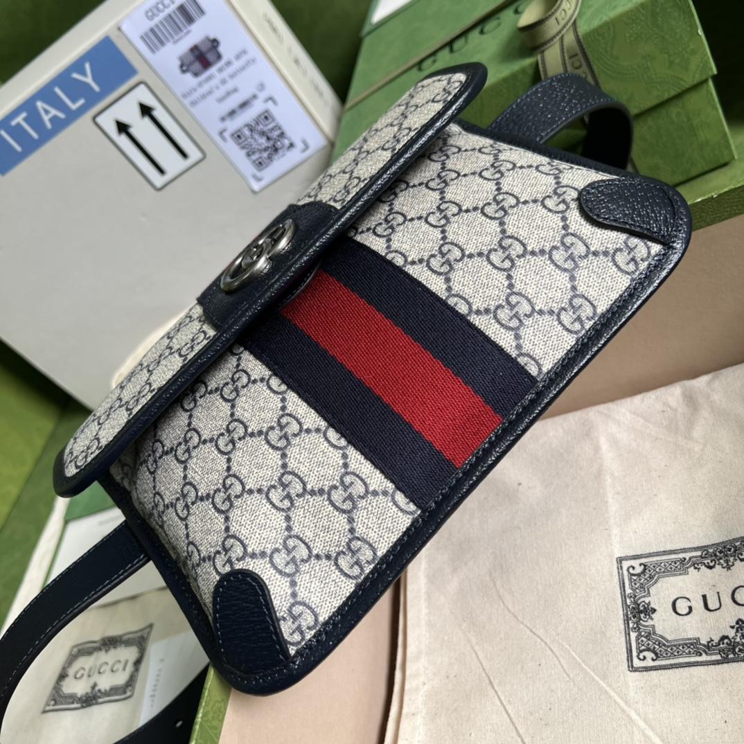 Gucci Ophidia Belt Bag(22*17*3.5cm) - EUR FASHION