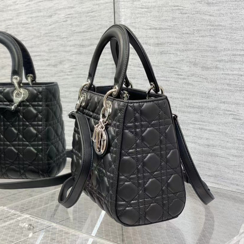 Dior Medium Lady Dior Bag - EUR FASHION