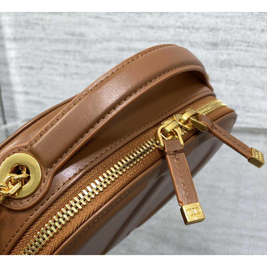 Dior CD Signature Oval Camera Bag - EUR FASHION