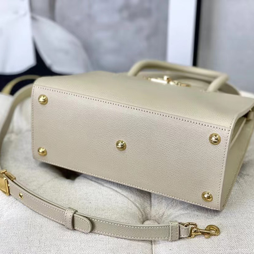 Dior Medium St. Honore Tote (25 -19-12 cm) - EUR FASHION
