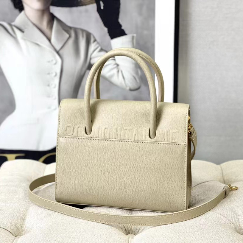 Dior Medium St. Honore Tote (25 -19-12 cm) - EUR FASHION