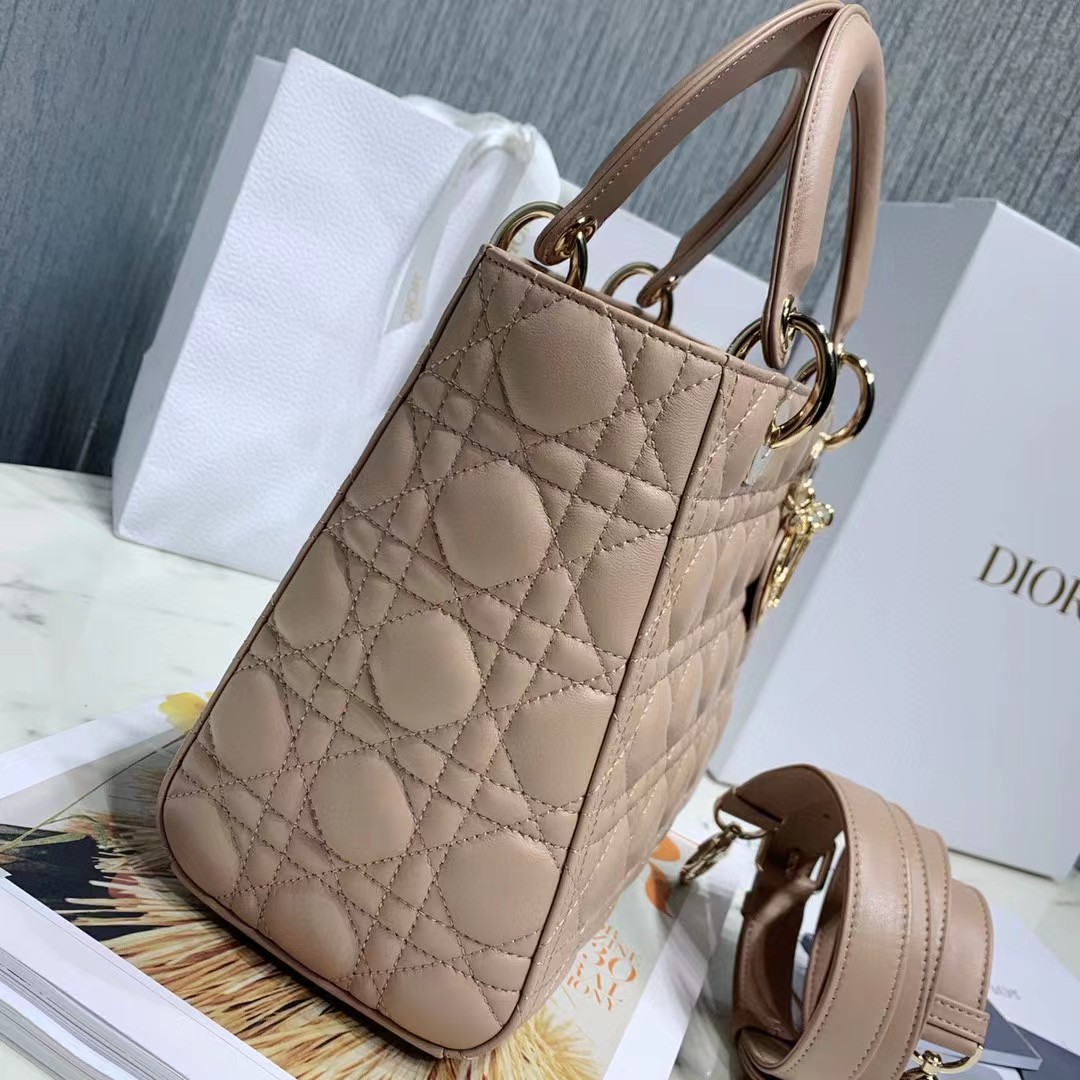 DiorLady Dior Bag  20cm - EUR FASHION