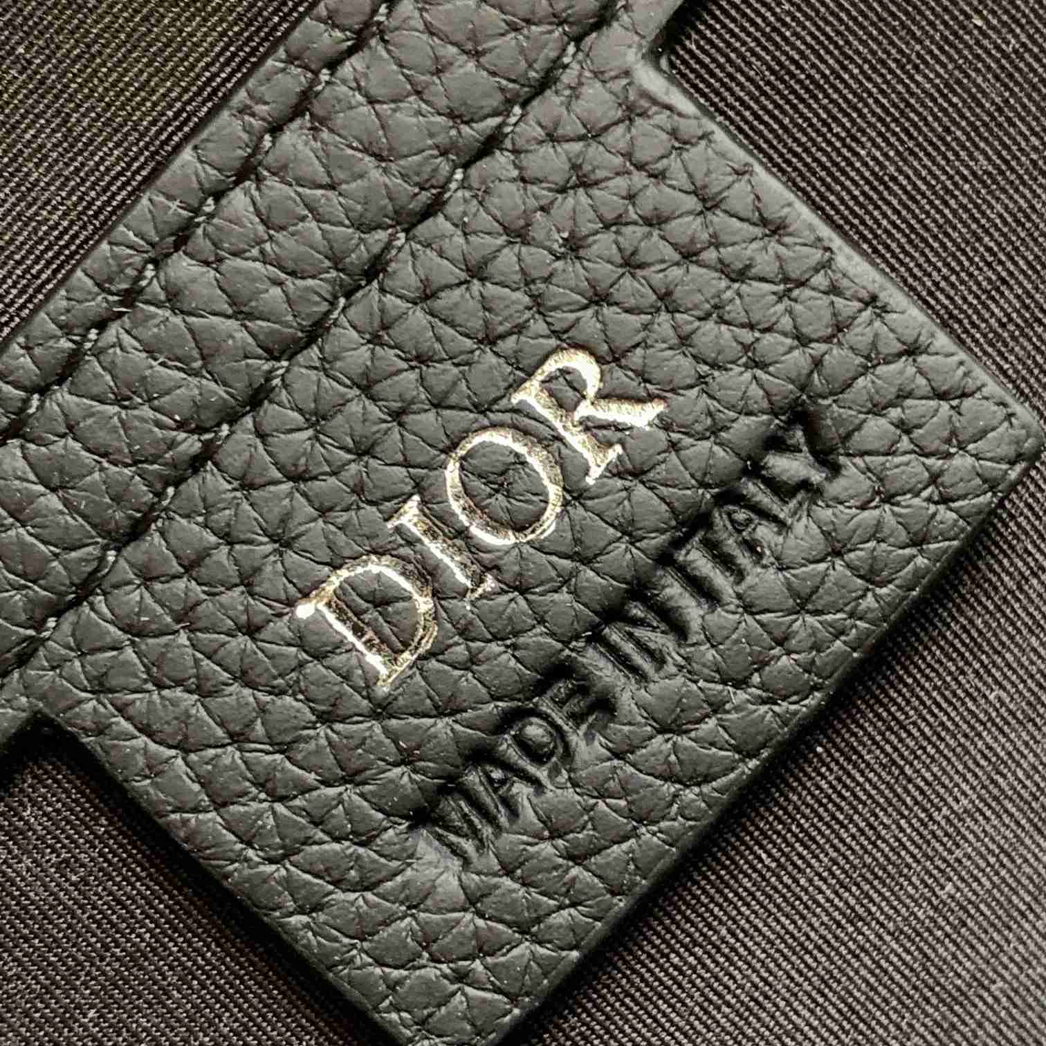 Dior Mini Rider Sling Bag - EUR FASHION