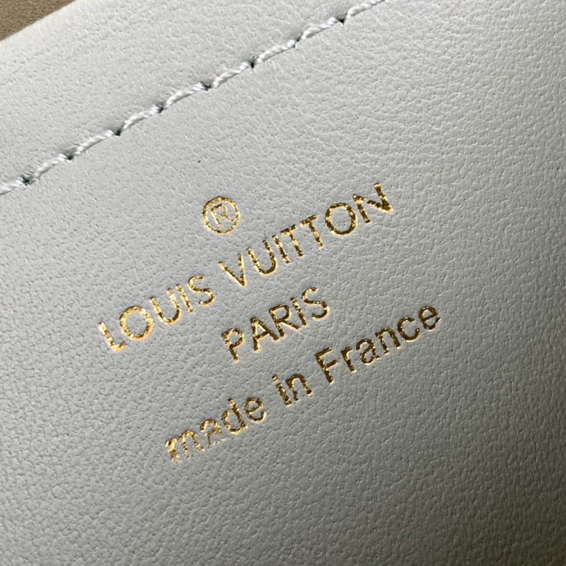 Louis Vuitton Pochette Coussin (20-14-8cm)   M82474 - EUR FASHION