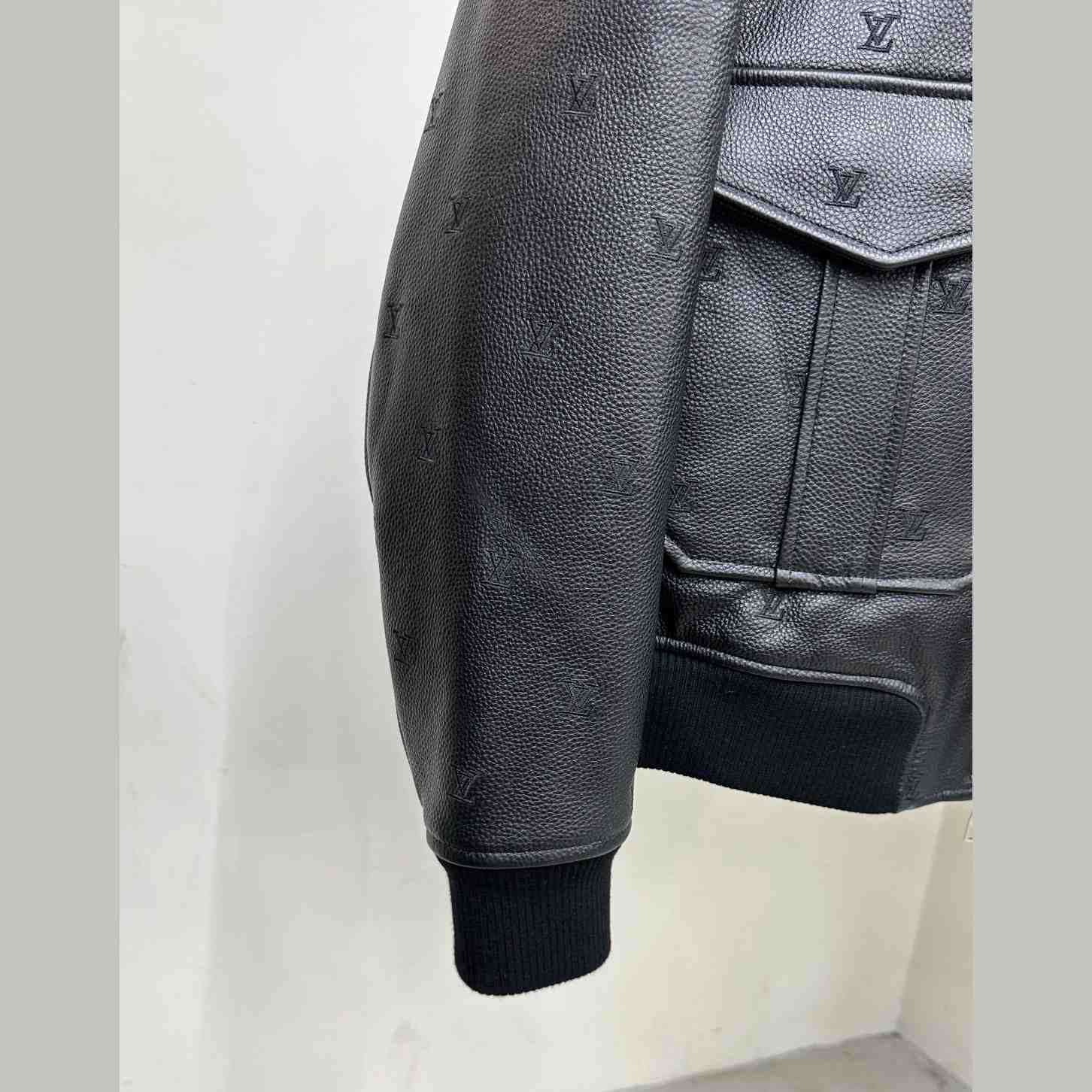 Louis Vuitton Leather Aviator Mink Collar    1AFIPA - EUR FASHION