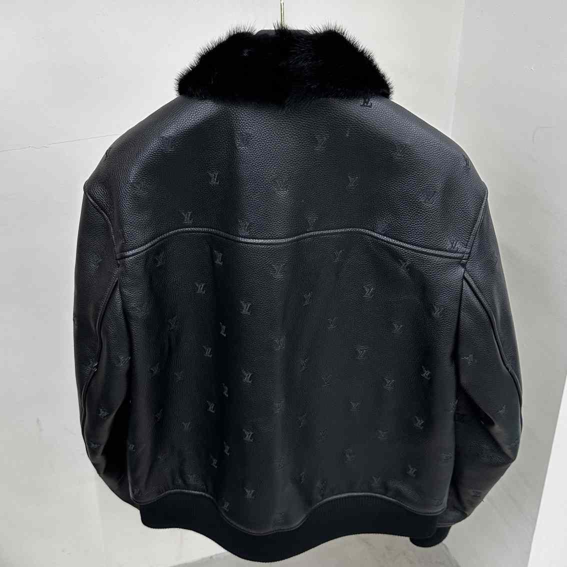 Louis Vuitton Leather Aviator Mink Collar    1AFIPA - EUR FASHION