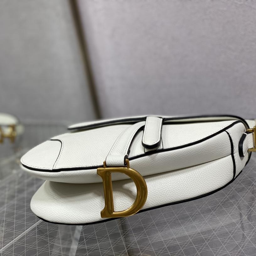 Dior Saddle Bag    19.5cm - EUR FASHION