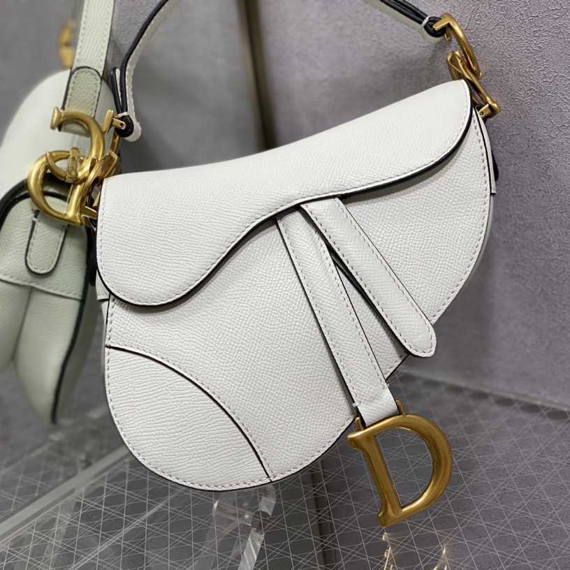 Dior Saddle Bag    19.5cm - EUR FASHION