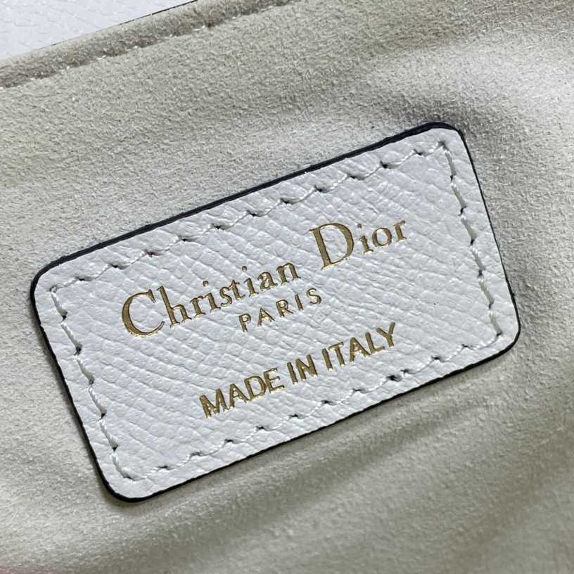 Dior Saddle Bag    19.5cm - EUR FASHION