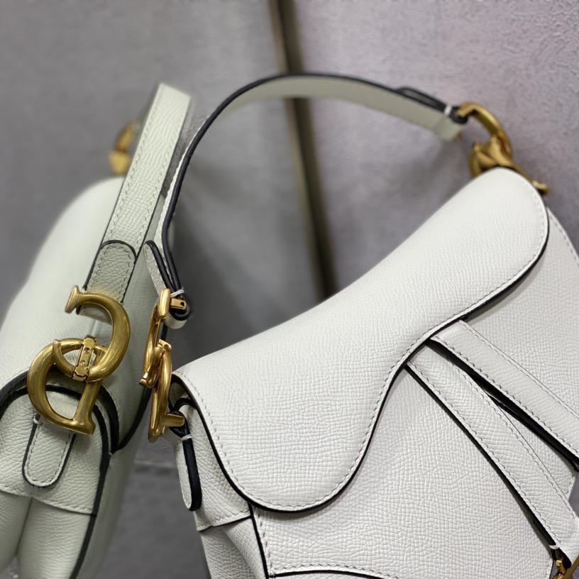 Dior Saddle Bag    19.5cm - EUR FASHION