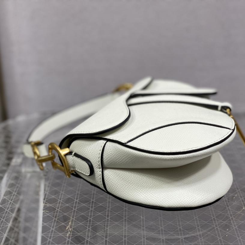 Dior Saddle Bag    19.5cm - EUR FASHION