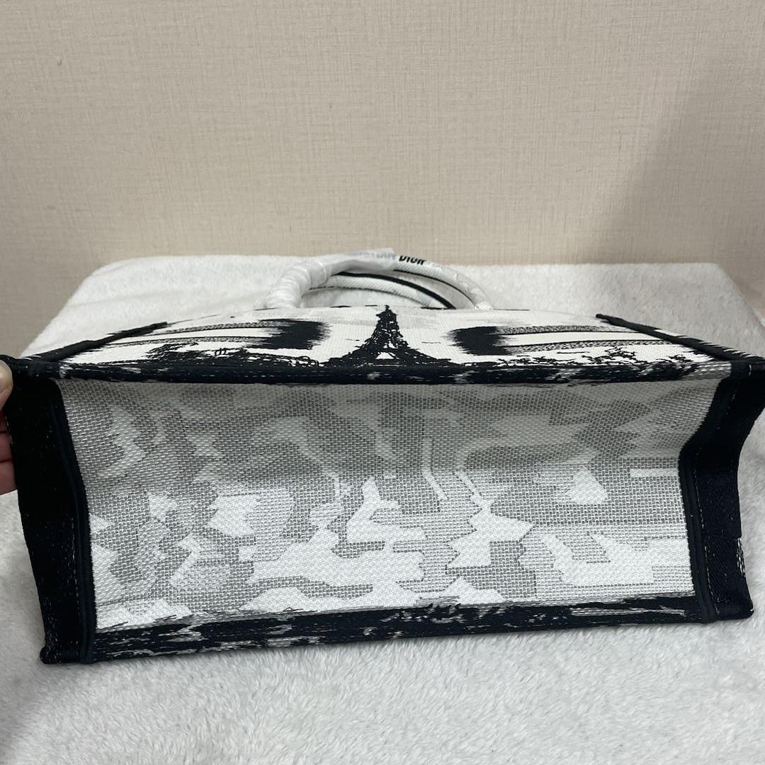 Dior Medium Dior Book Tote - EUR FASHION