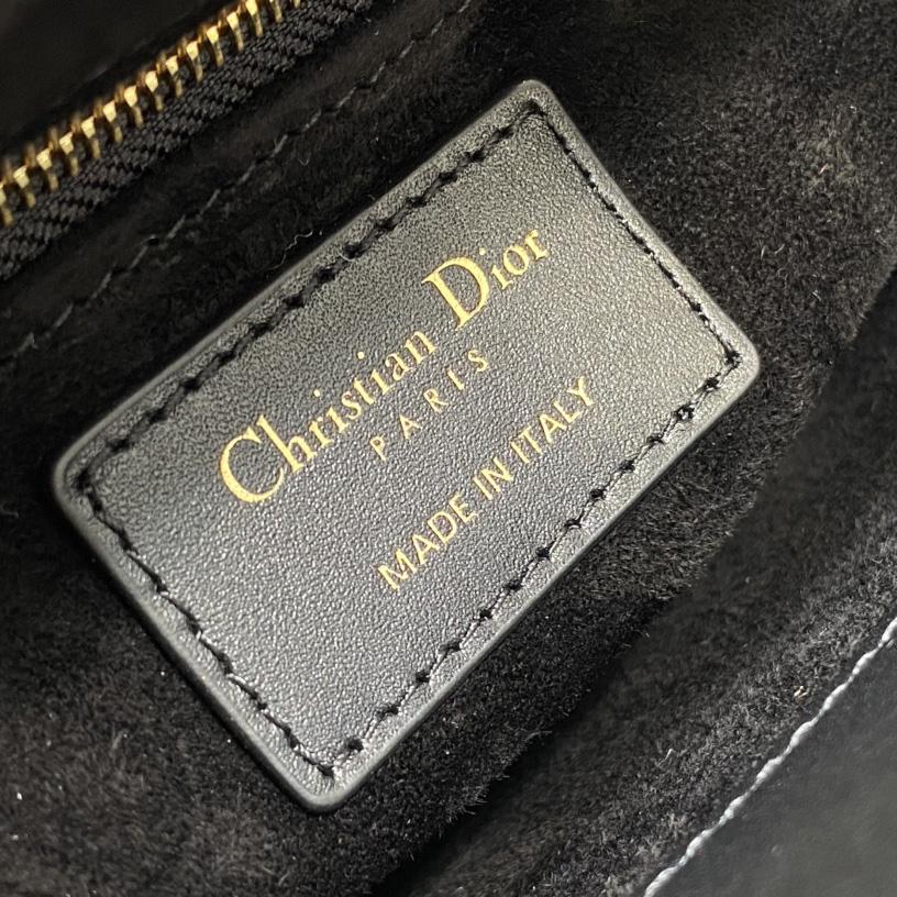 Dior Mini Lady Dior Bag   - EUR FASHION