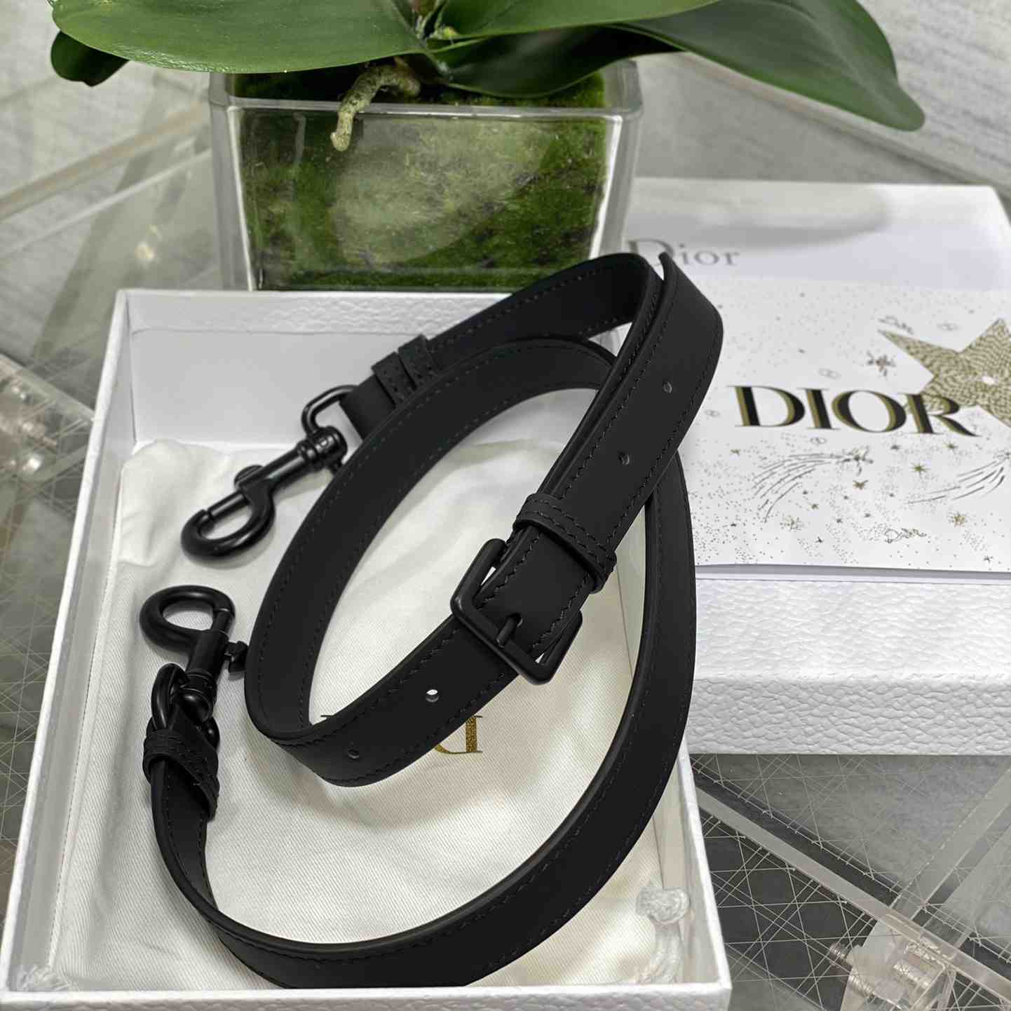 Dior Saddle Bag (24×6×18cm) - EUR FASHION