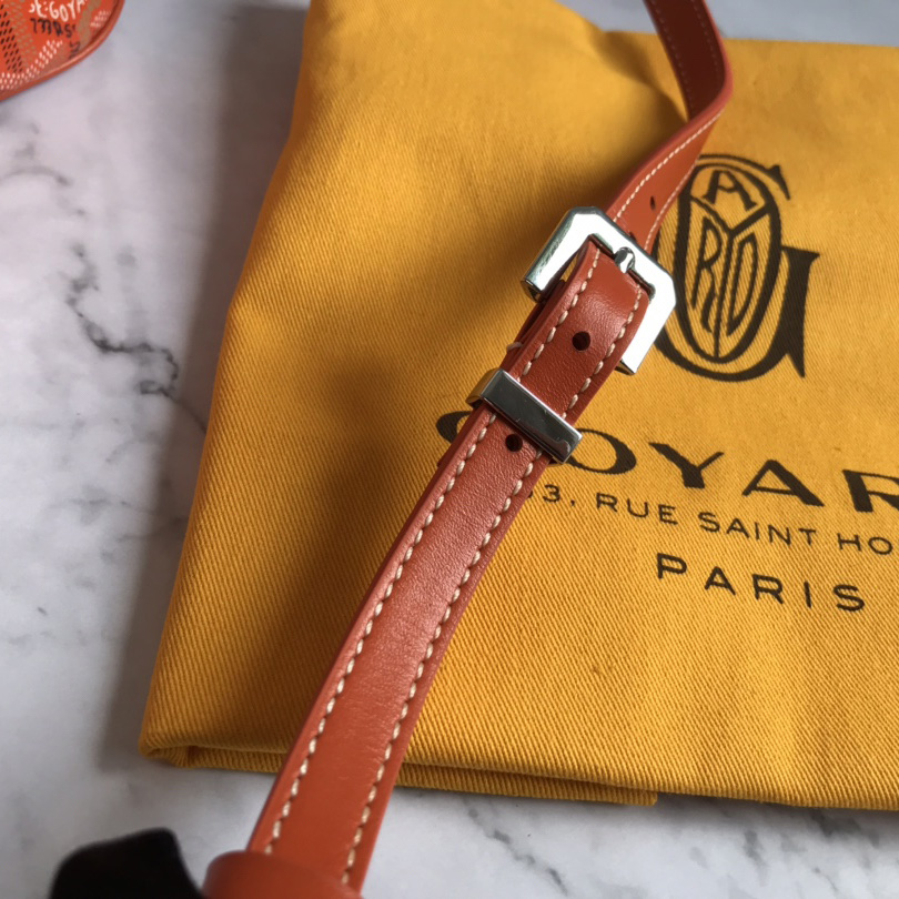 Goyard Cap-Vert PM Bag - EUR FASHION