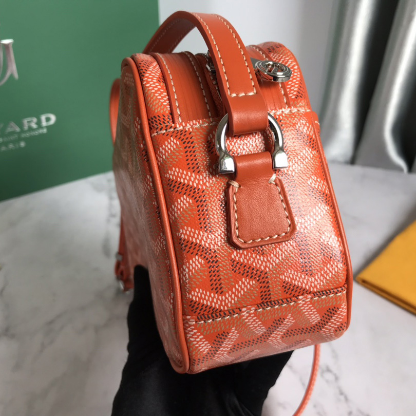 Goyard Cap-Vert PM Bag - EUR FASHION