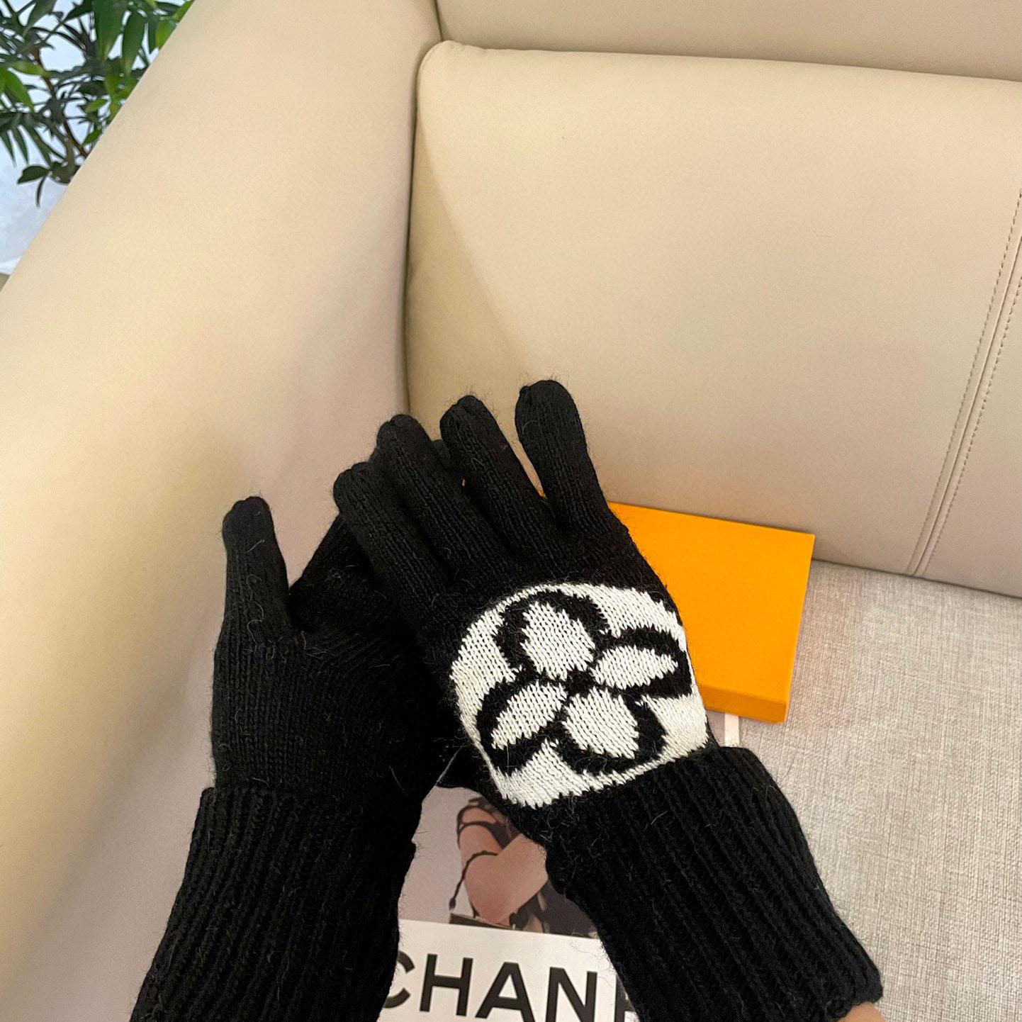 Louis Vuitton LV Medallion Gloves - EUR FASHION