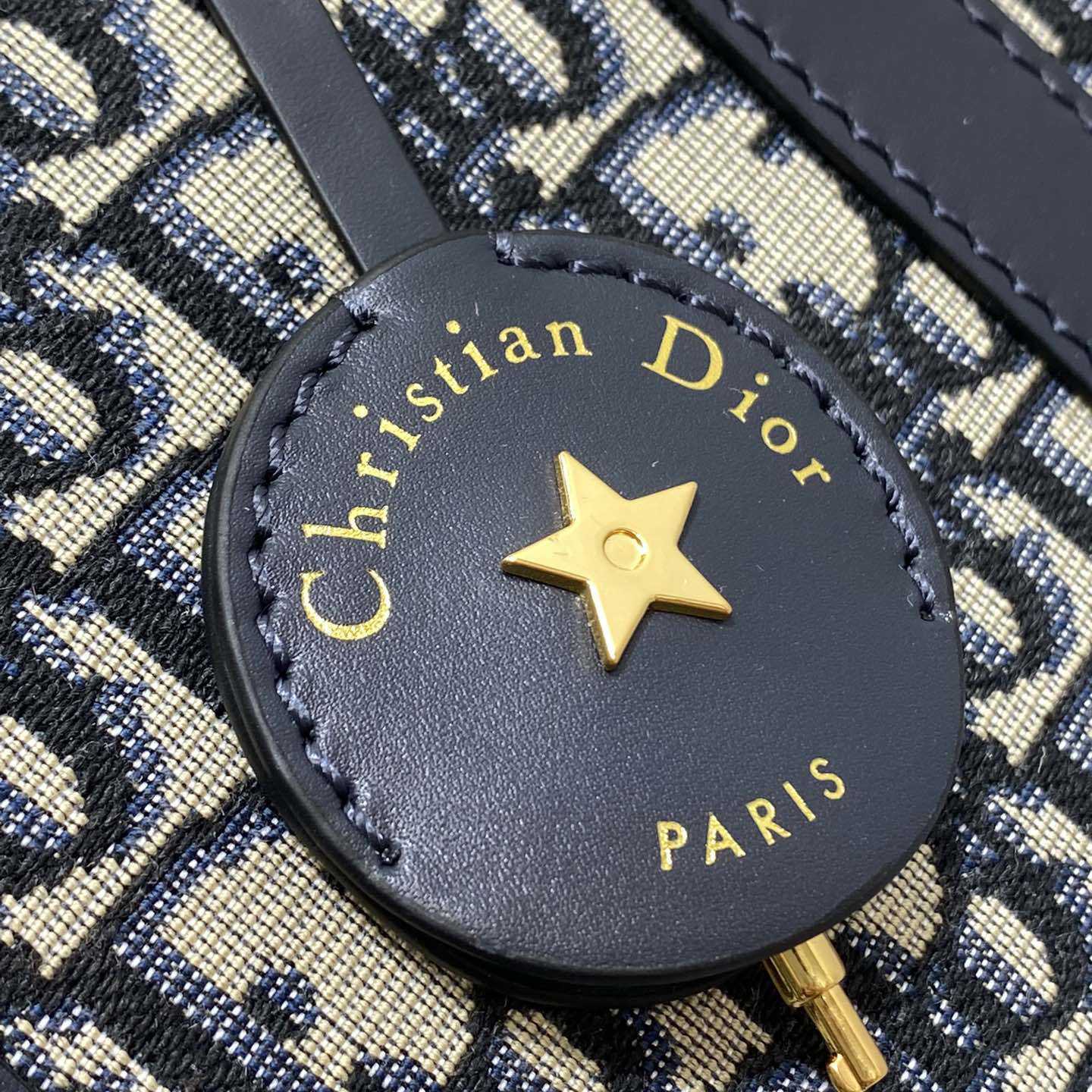 Dior Groove 25 Bag  - EUR FASHION