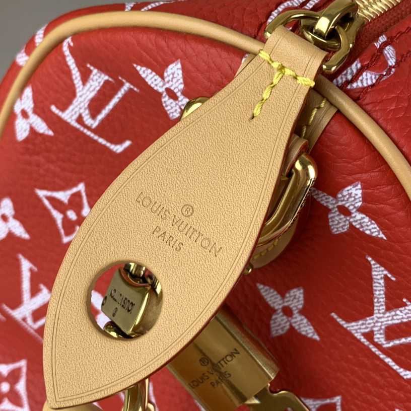 Louis Vuitton Speedy P9 Bandoulière 25   M24425 - EUR FASHION