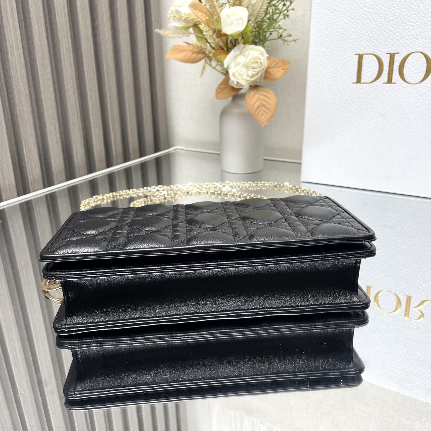 Dior Lady Dior Pouch - EUR FASHION