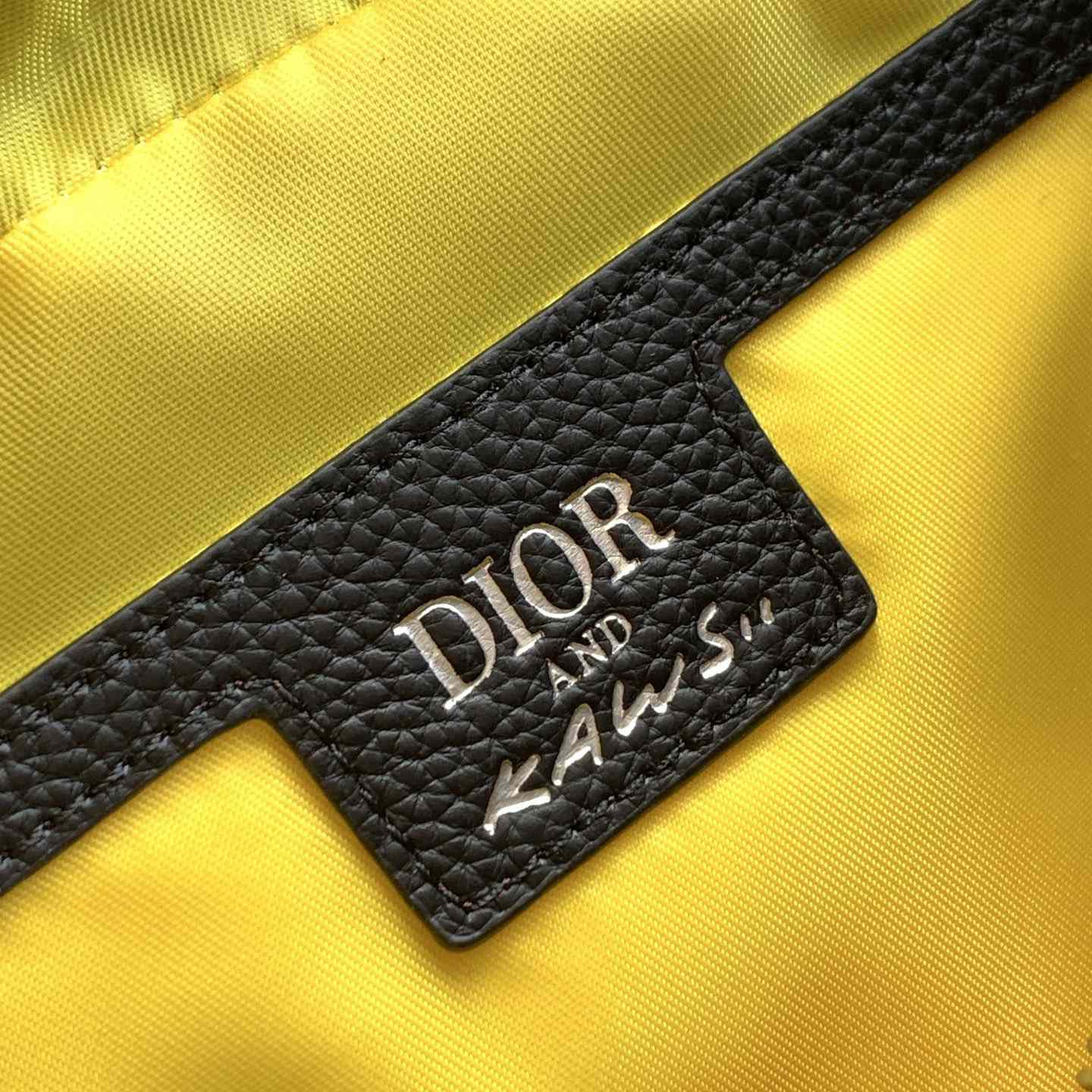 Dior And Kaws Mini Rider 2.0 Zipped Messenger Bag   - EUR FASHION