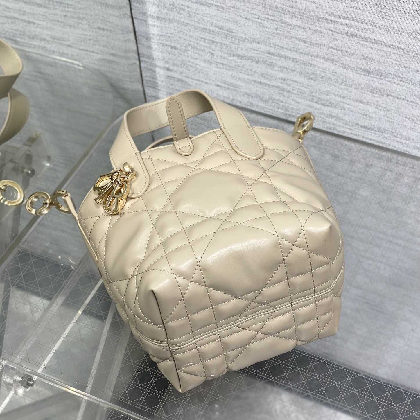 Dior Toujours Vertical Nano Tote Bag  - EUR FASHION