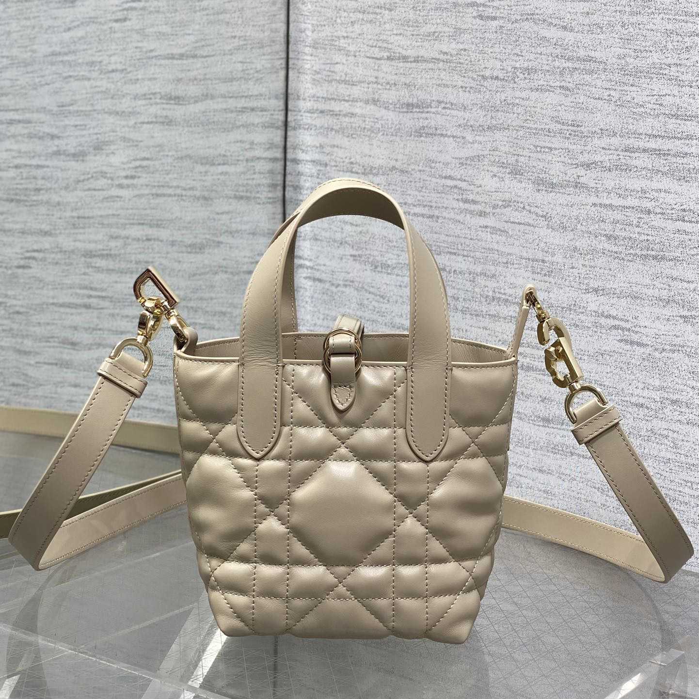 Dior Toujours Vertical Nano Tote Bag  - EUR FASHION
