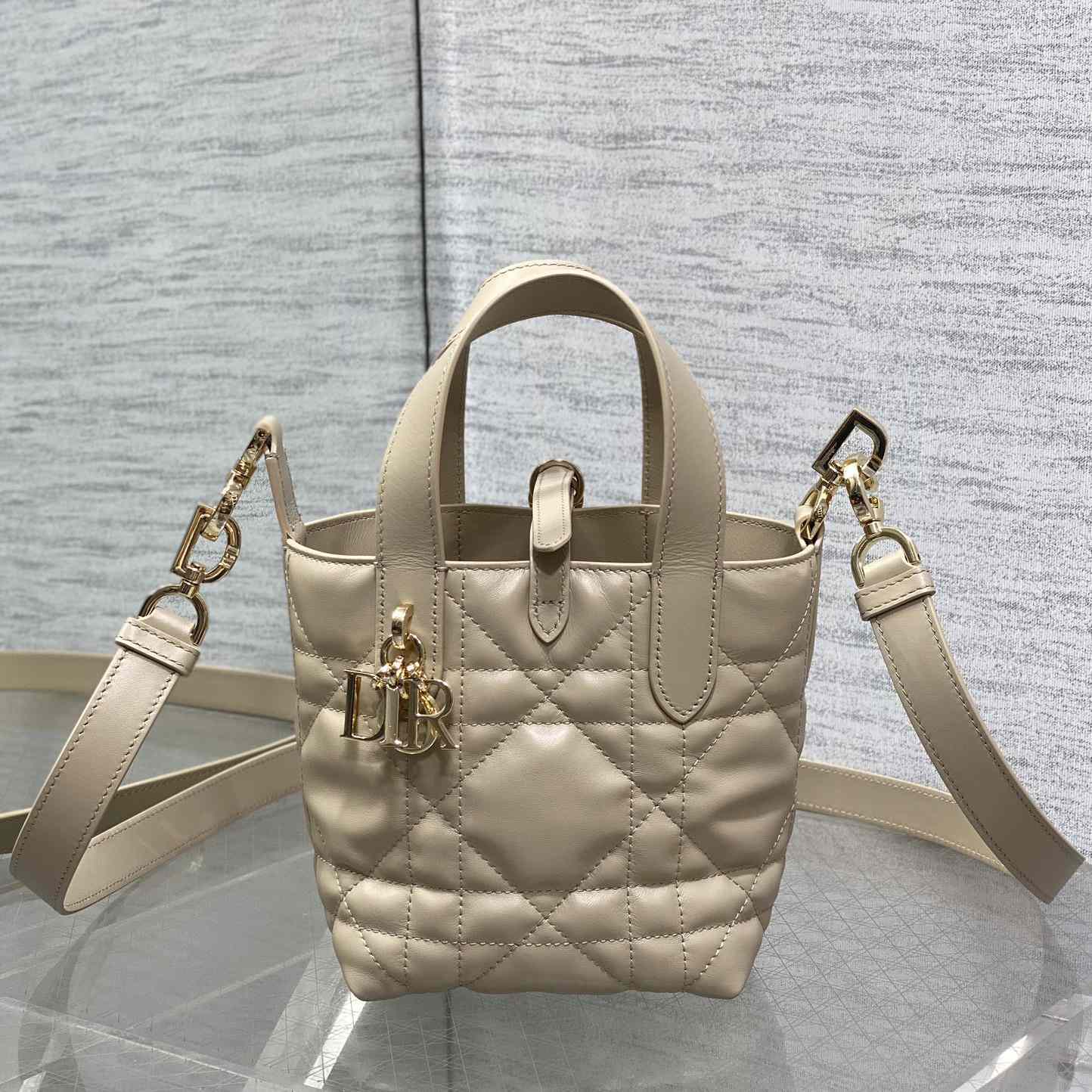 Dior Toujours Vertical Nano Tote Bag  - EUR FASHION